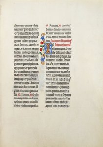Très Riches Heures du duc de Berry - Limbourg Brothers